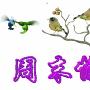 庞统论金：6.3-6.4周评,非农总结，下周黄金原油操作建议附解套