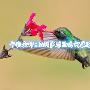 皓坤论金：7.13原油空单被套解套！EIA利多为何暴涨暴跌？