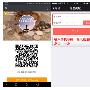 现货黄金低多为主8.1晚间操作策略-金凯解股