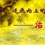 浩雷论金8.11避险情绪继续升温，周线收官黄金剑指千三