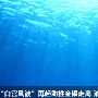 天添创盈：白宫风波再起助推金银走高，悲观情绪升温油价跌入深渊
