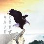 李晟投资：8.21黄金原油早评.周初看震荡，周尾看年会.