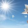 银豪霸金：8.22黄金高位不宜追多原油高位难破反弹空！