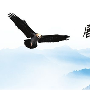 金市风云：8.26-8.27黄金走势分析，后市展望。
