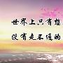 凌峰霸金：8.29黄金说了反弹做多你不听结果爆仓？后期操作建议及解套方法