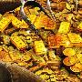 路欣一：国际黄金投资中为何单子越套越深？