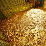 张煜焯：9.12黄金大幅回撤，是否迎来空头趋势?
