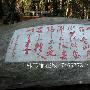 林芳菲：10.24黄金高空低多原油反弹做空，日内还会涨吗？