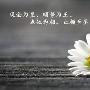 柳沁雯9.11黄金开启来回游荡，周二多空盈利9美金，附黄金操作建议