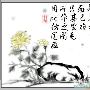 Photoshop绘制具有中国韵味的水墨菊花