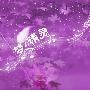 Photoshop合成教程：创意设计打造梦幻精灵艺术效果(2)