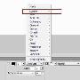 Adobe Fireworks CS5 新功能预览