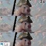 Photoshop制作透明玻璃的效果(2)