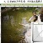 Photoshop给单调的婚纱照片润色(2)