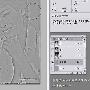 Photoshop巧用计算及通道选区给人物磨皮及润色(2)