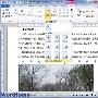 在Word 2010文档中精确设置图片的位置