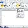 教你调整Word 2010文档页面显示比例