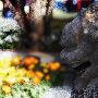 Photoshop CS4动作基础入门教程(1)
