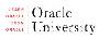 从 Oracle 学习 Oracle