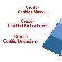 关于Oracle和ORACLE认证证书（附图)