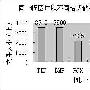 让Word文档瘦身的几种小方法