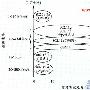 面向低速率应用的全球标准ZigBee