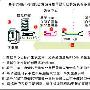 WDM优化有新招
