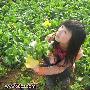 Photoshop调出人物照片偏红暖色调