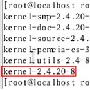 Linux虚拟机中挂载U盘的操作流程