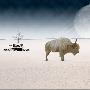 Photoshop合成外星球上雪地里爬行的犀牛