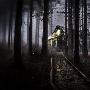 Photoshop合成森林中暗夜风格的小木屋