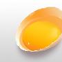 Photoshop绘制逼真蛋壳和蛋黄