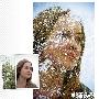 PhotoShop打造另类树枝美女头像效果教程