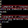 Linux系统下在命令行中压缩JPEG图像的方法