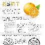 AI绘制逼真橙子教程