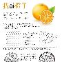 Illustrator绘制逼真的橙子教程