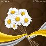 Illustrator绘制漂亮的白色雏菊