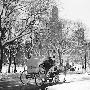 作品赏析：纽约中央公园黑白雪景