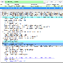 Python原始套接字编程