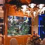 起居室至IN风潮 巧花心思营造神秘海底之魅(图)