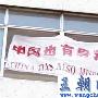 驻南使馆被炸十年祭:鲜血面前麻木的民族注定沉沦!