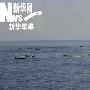 护航编队随舰记者：海盗用航道伏击术实施袭击