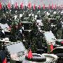 美国专家称中国军队应参与解决世界危机(图)