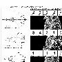 最猛爆料:601和611提交中国四代机方案曝光!