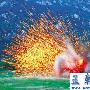 组图：中国海军陆战旅两栖装甲团南海射击演习