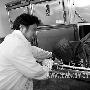 运尸工的别样生活：34年从不和人握手（图）