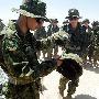 日本：海外派兵6年 16名士兵自杀