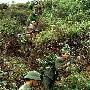 "世界第三军事强国":被解放军教训的越南军队!