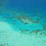 全球气候变暖将致澳大利亚大堡礁20年后消失