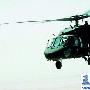 台防务部门:台湾军购60架黑鹰直升机计划不变